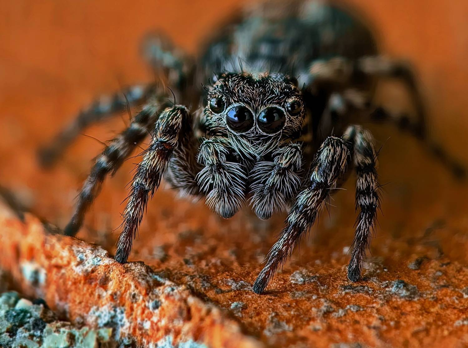 , Кузнецов Дмитрий