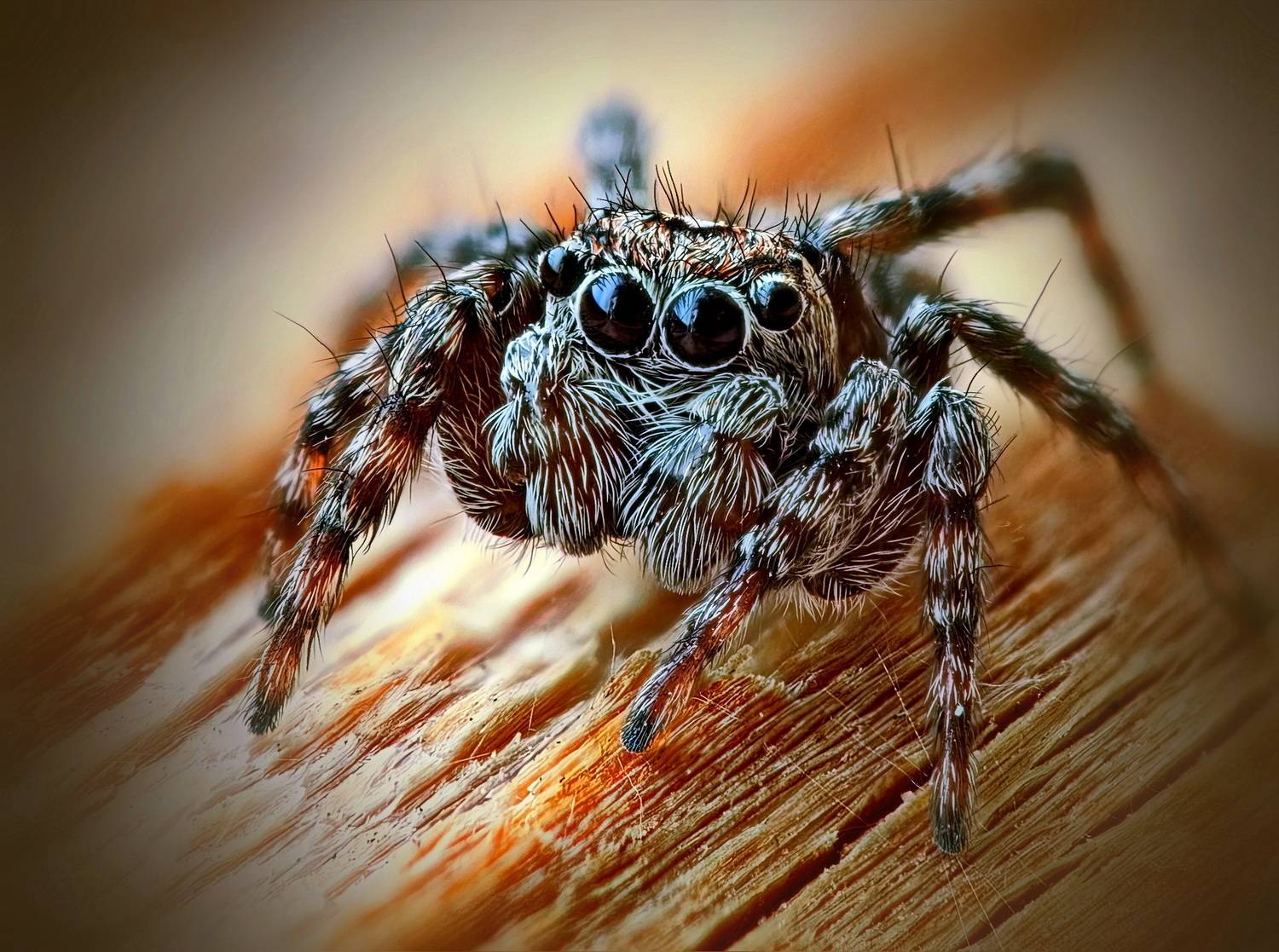 Автор: Кузнецов Дмитрий , Кузнецов Дмитрий