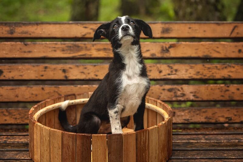 Я тоже хочу домойphoto preview