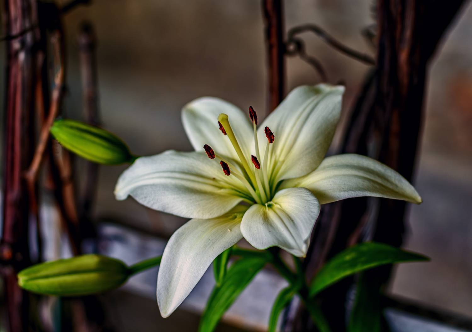 , Владимир Гамаюнов