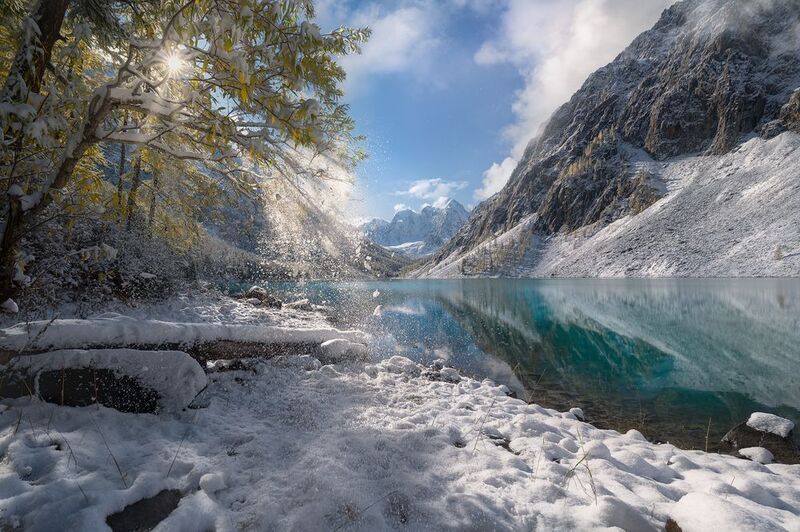 The White Fallphoto preview