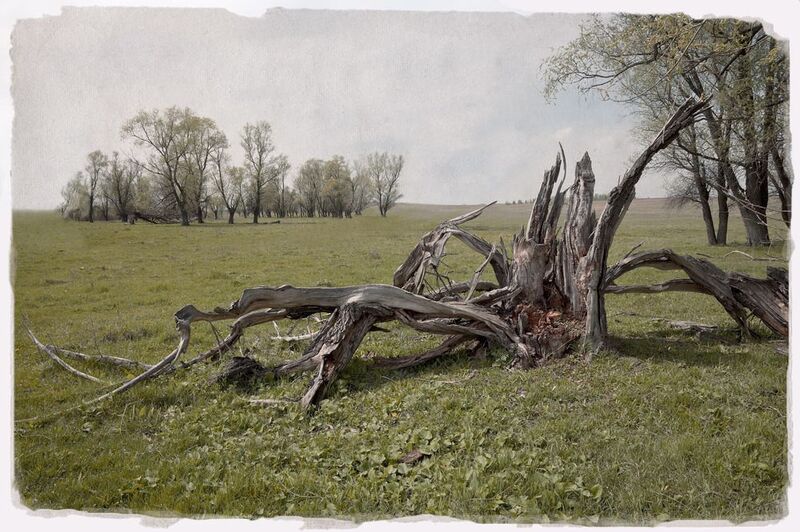 лето Летоphoto preview