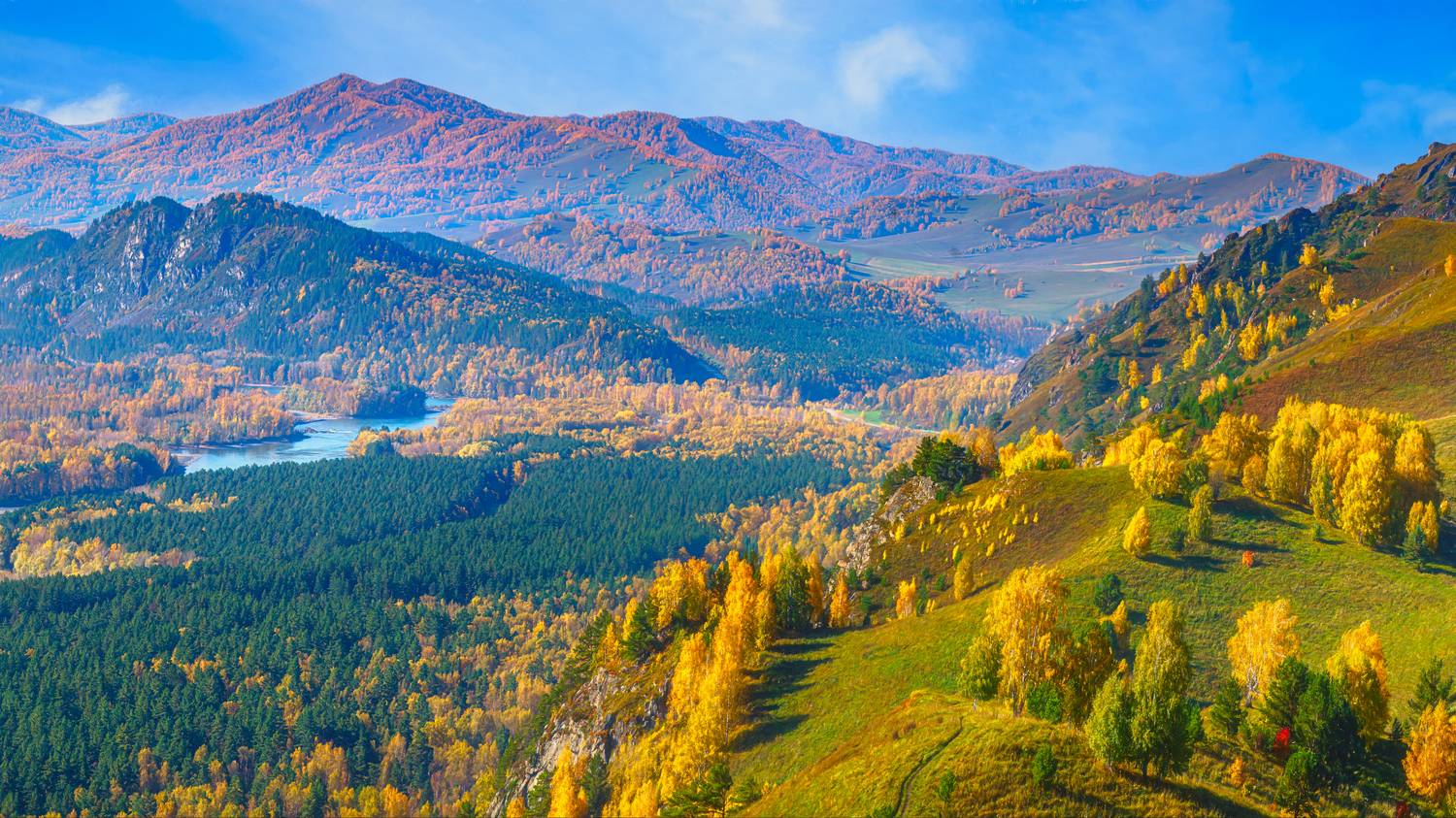 , Шварцман Евгений