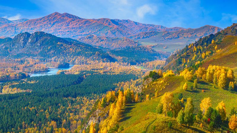 Вид фото превью