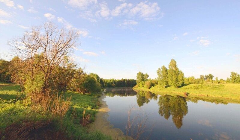 Сонное утроphoto preview