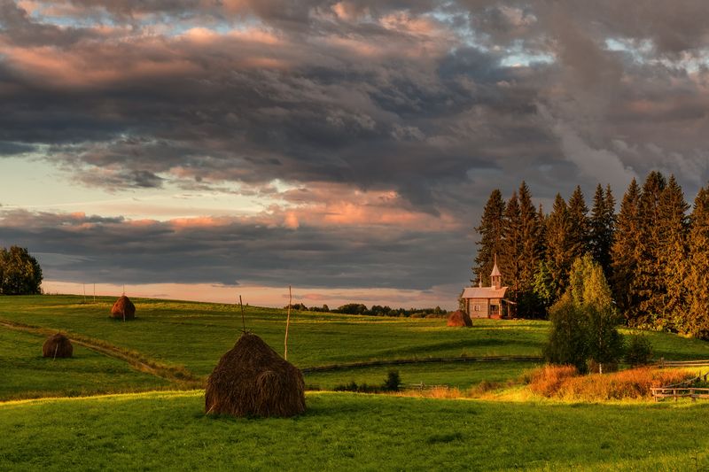 Мыза Позднее лето... фото превью