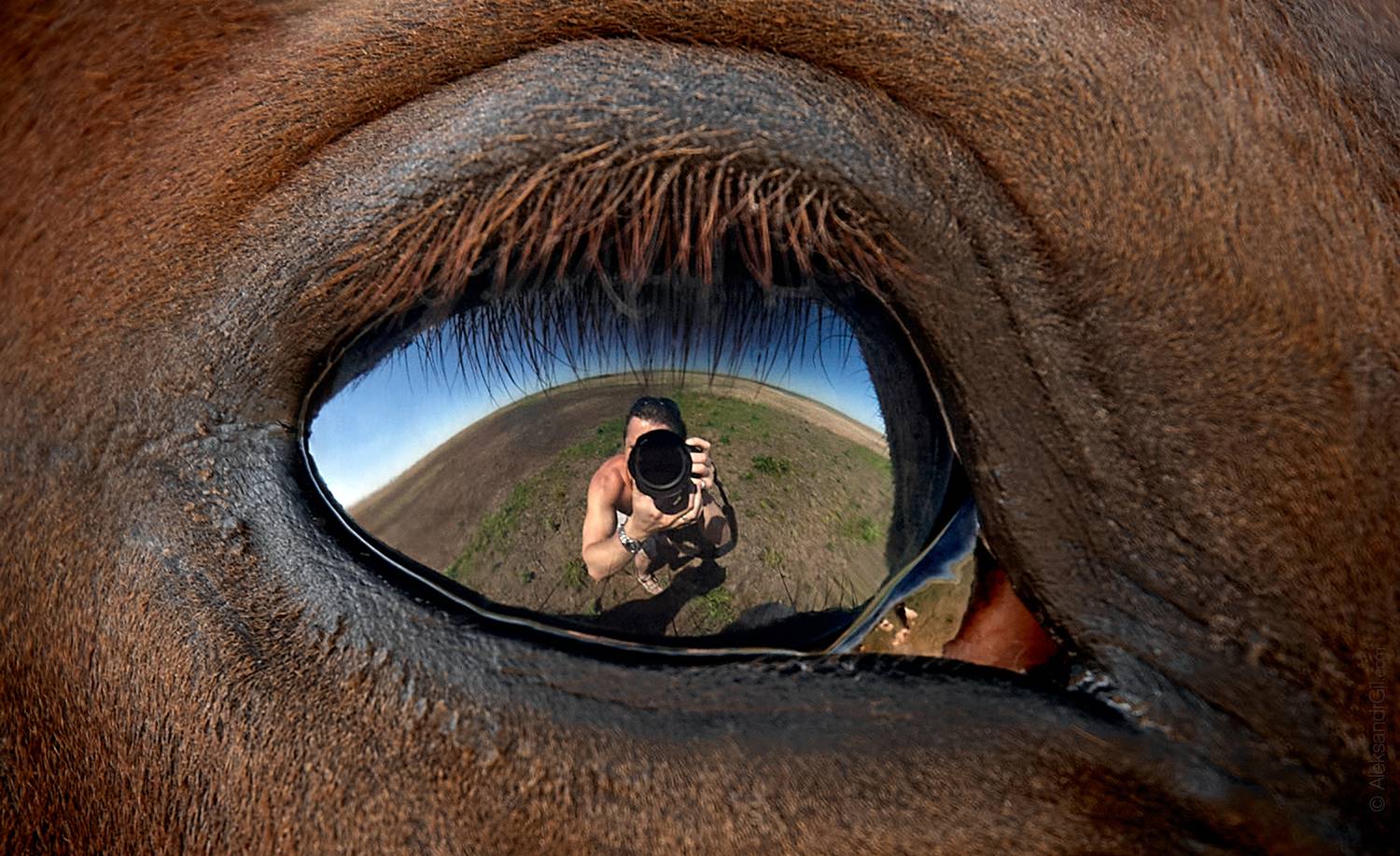 , Гиль Александр