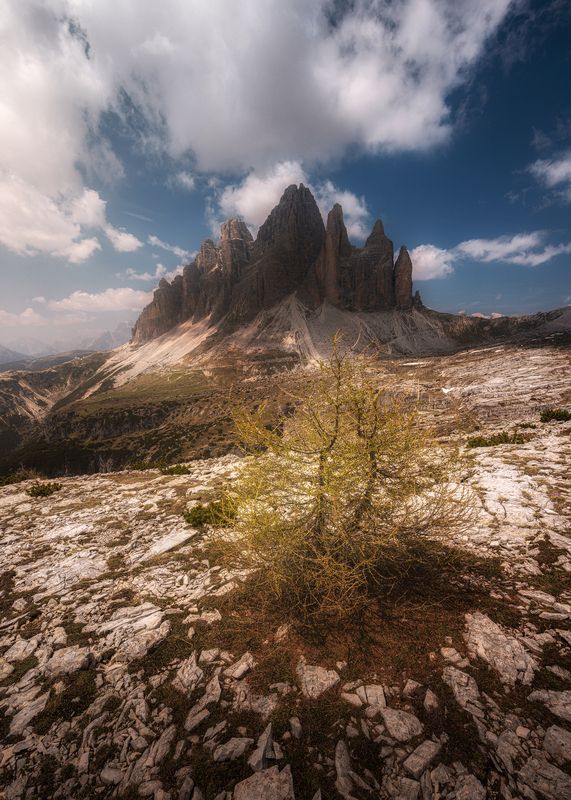 Tre cime di Lavaredo фото превью