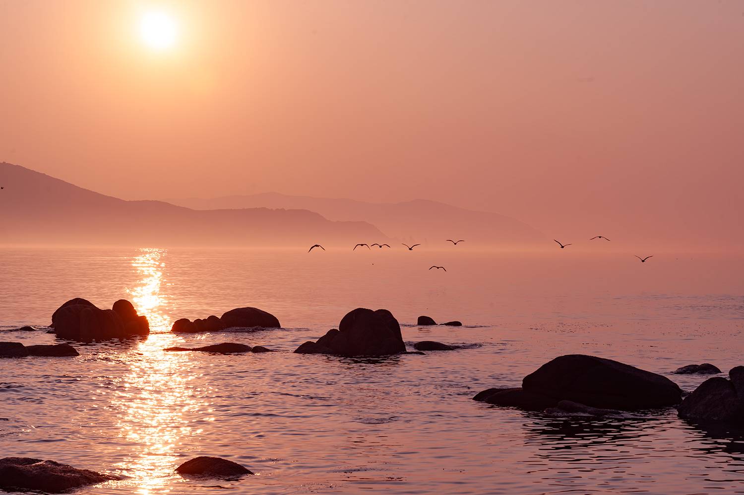 , Васильева Дарья