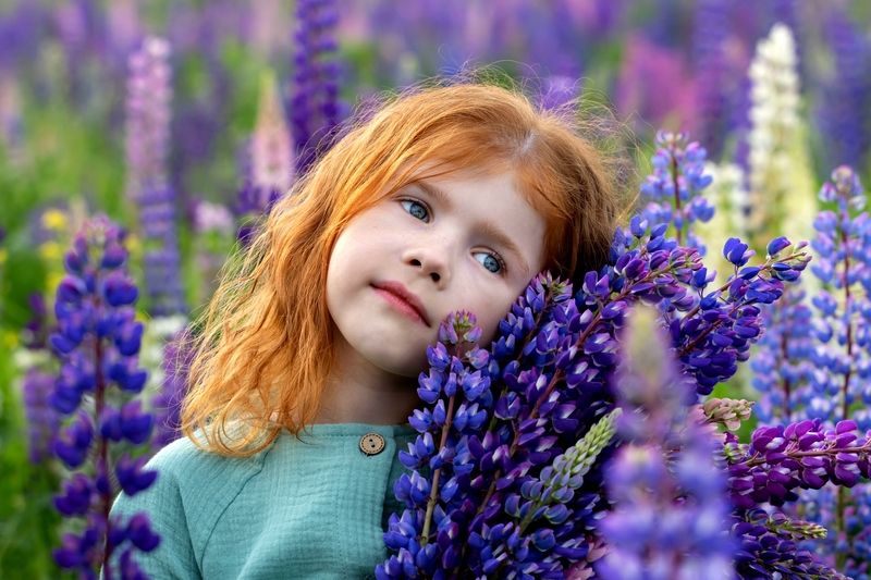девочка, рыжие волосы, веснушки, люпины, цветы, поле, лето Портрет девочки с люпинами фото превью