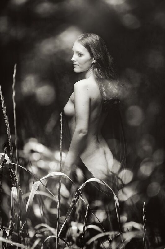 В заросляхphoto preview