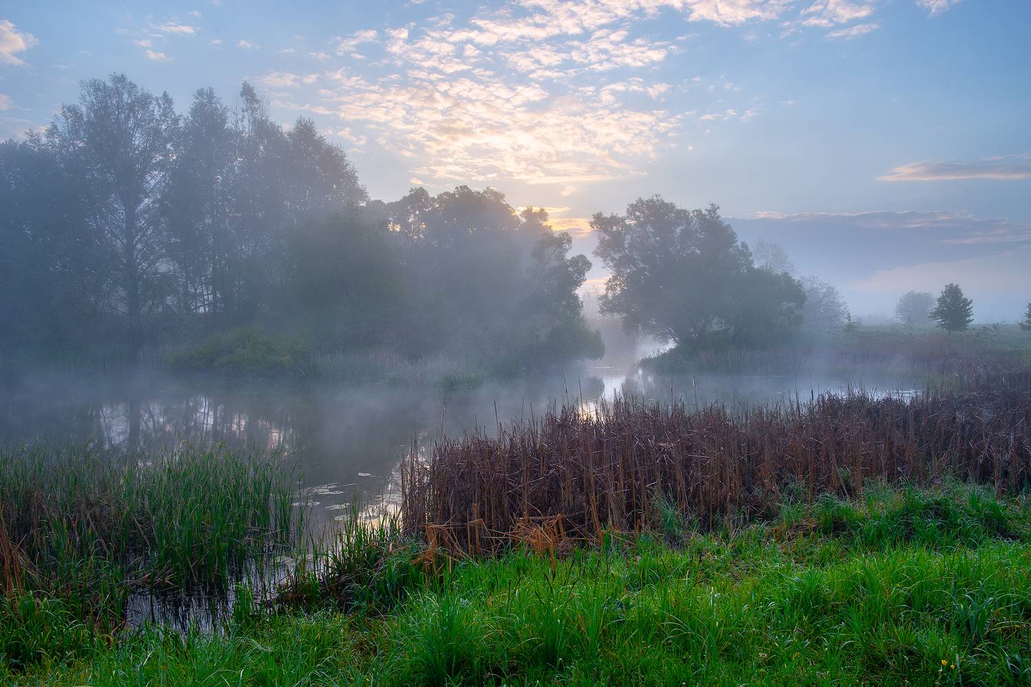 , Роман Игнатьев
