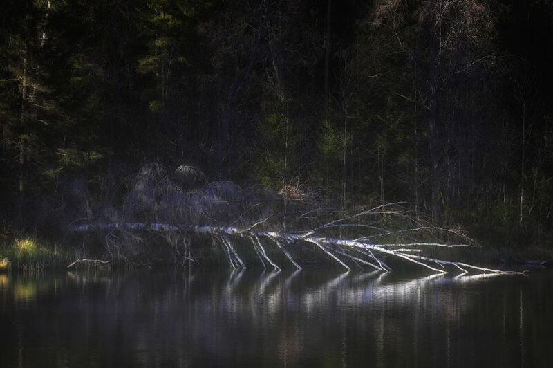 Тайное местоphoto preview