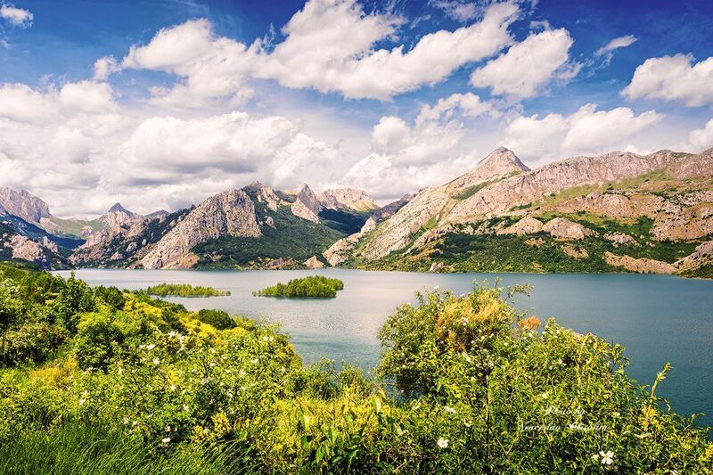 beautiful bayphoto preview