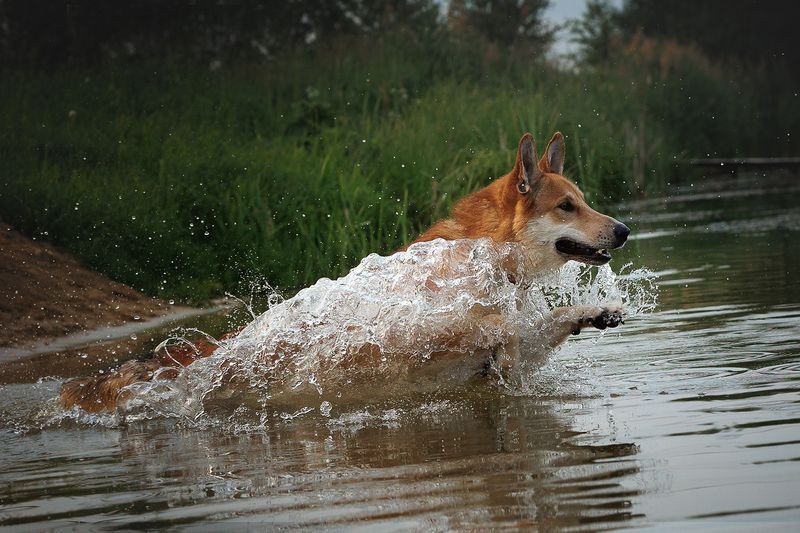 Наянphoto preview