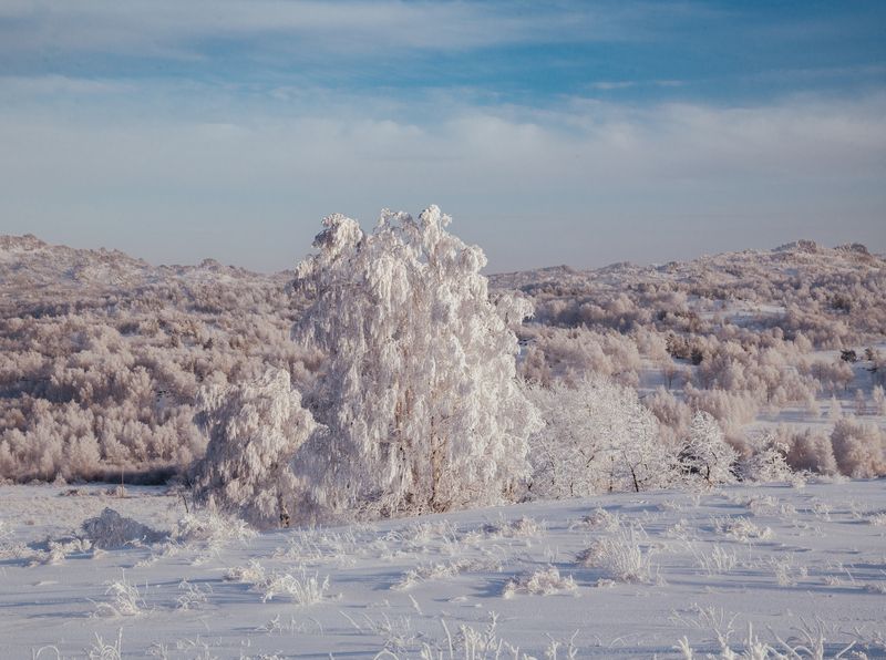 снег, лес, горы, поле, алтай Алтайский крайphoto preview