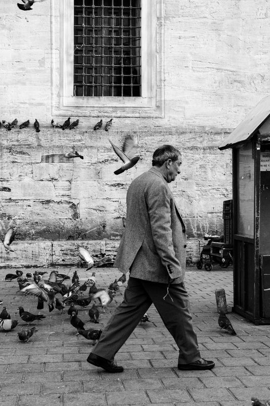 Стамбул, февраль 2024 г.photo preview