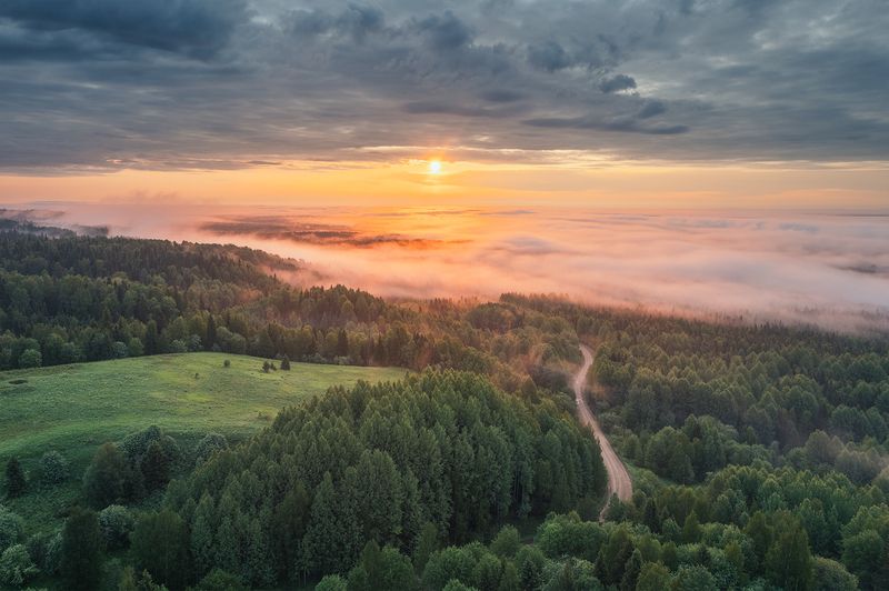 Рассвет над спящим лесомphoto preview