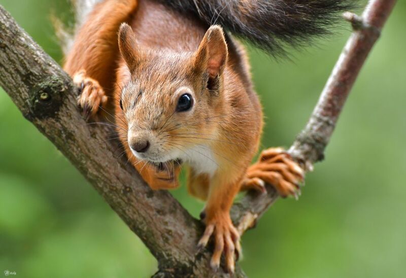 Фотограф, я слежу за тобой)photo preview