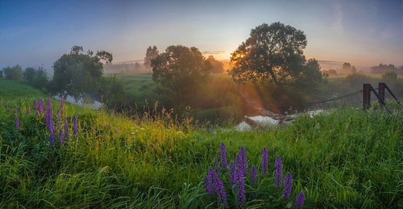 рассвет, лето , река , мостик photo preview
