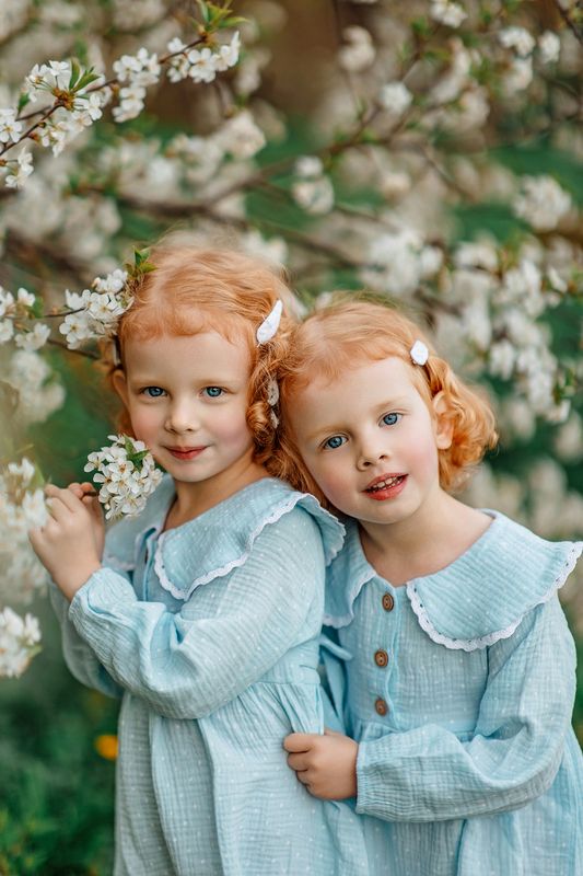 Рыжулькиphoto preview