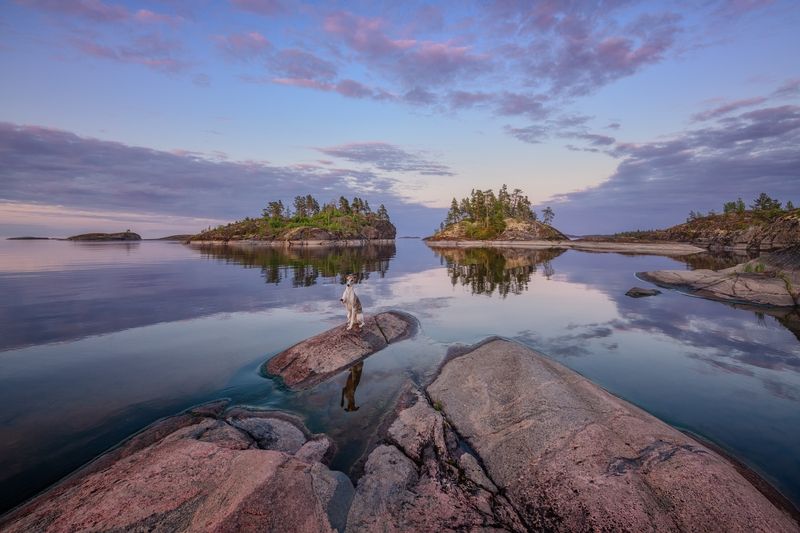 ладога Киты...Собаки... и др...photo preview