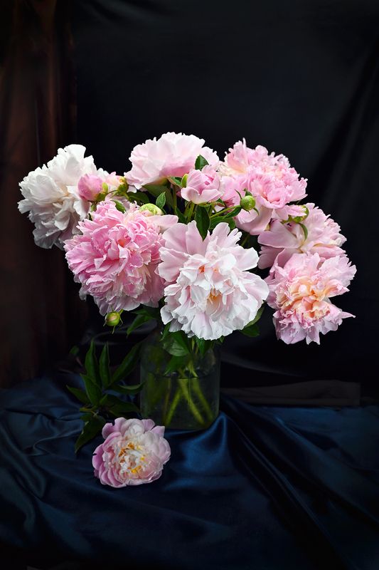 Домашнийphoto preview