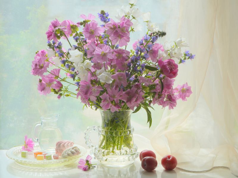 С лаватерой фото превью