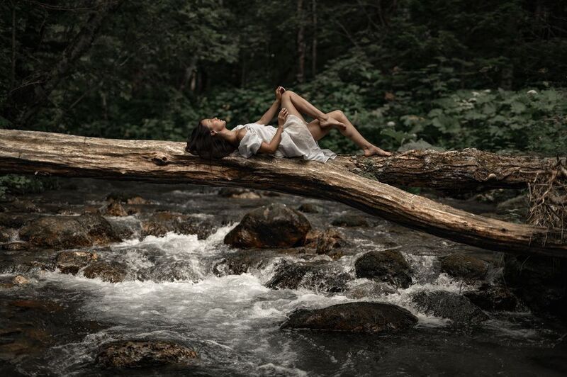 Этюд с поваленным деревомphoto preview