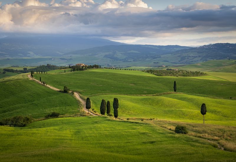 Тоскана в маеphoto preview