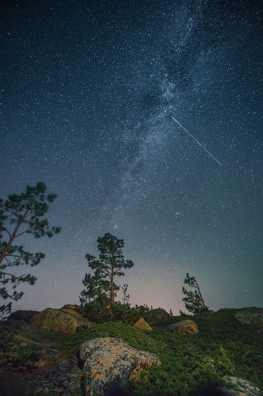 звезды, лес, камни, алтай, ночное небо, ночь Алтайский крайphoto preview