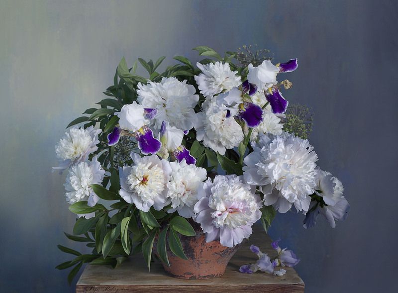 натюрморт, цветы, вера павлухина, пионы, лето. Пионовое очарование.photo preview