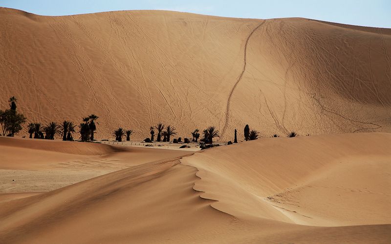 Оазисphoto preview