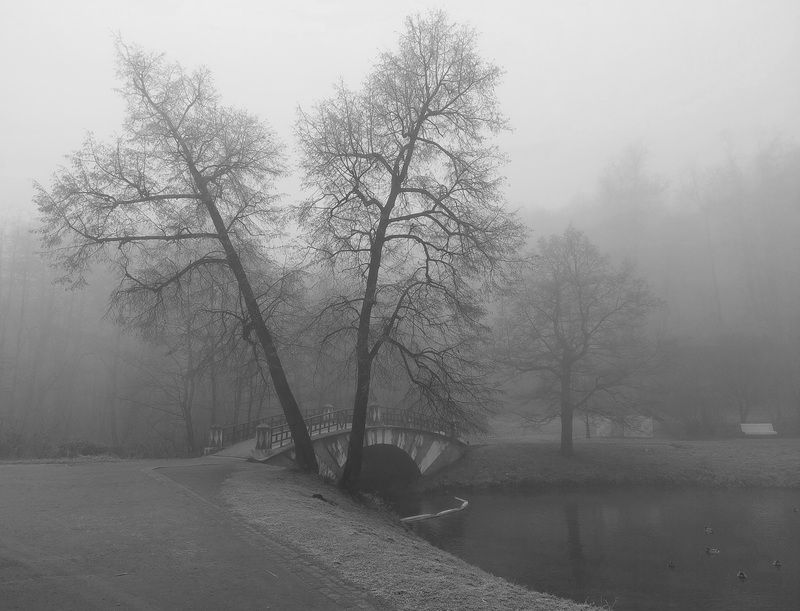 Туманphoto preview