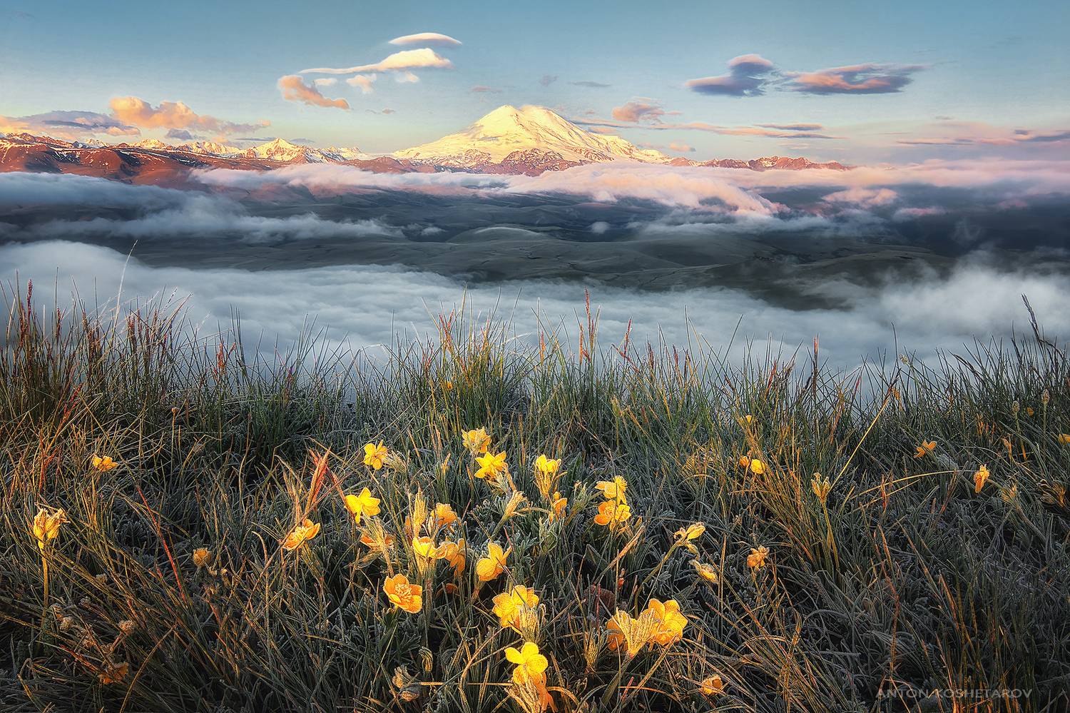 , Антон Кошетаров