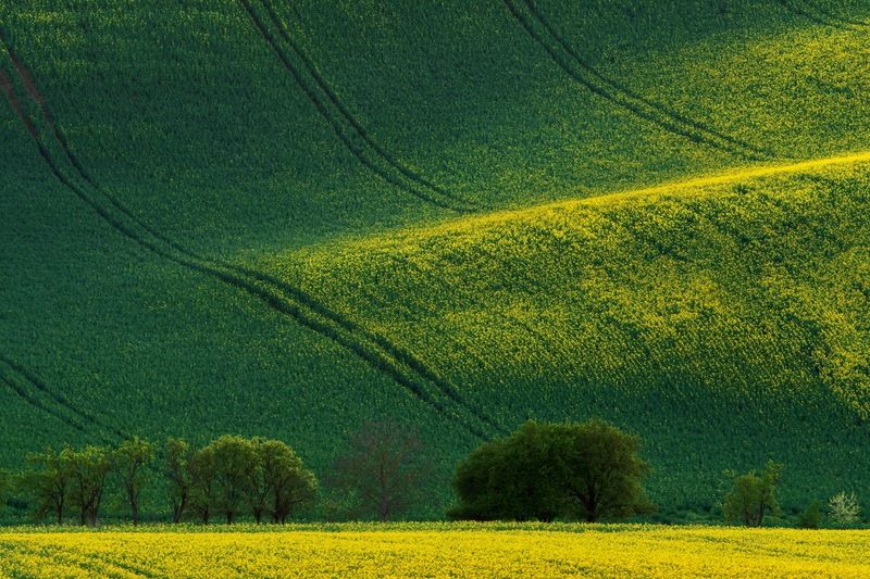 Волныphoto preview