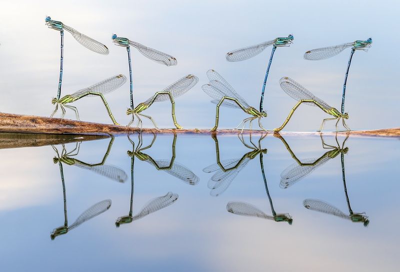 Зеркальный мир фото превью