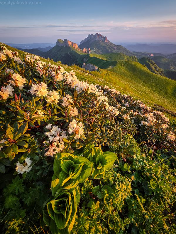 тхач, большой тхач, фототур, яковлевфототур, кавказ, адыгея Большой Тхач 2025photo preview
