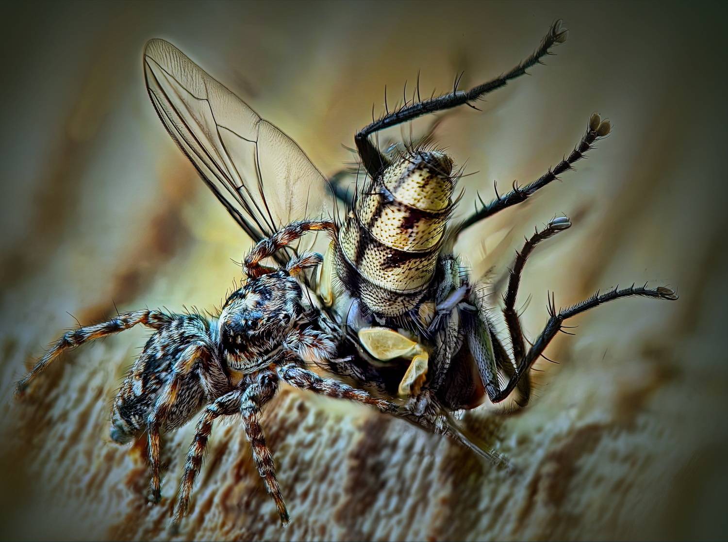 Неравная битва. Автор: Кузнецов Дмитрий , Кузнецов Дмитрий