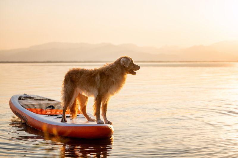 Рассветphoto preview