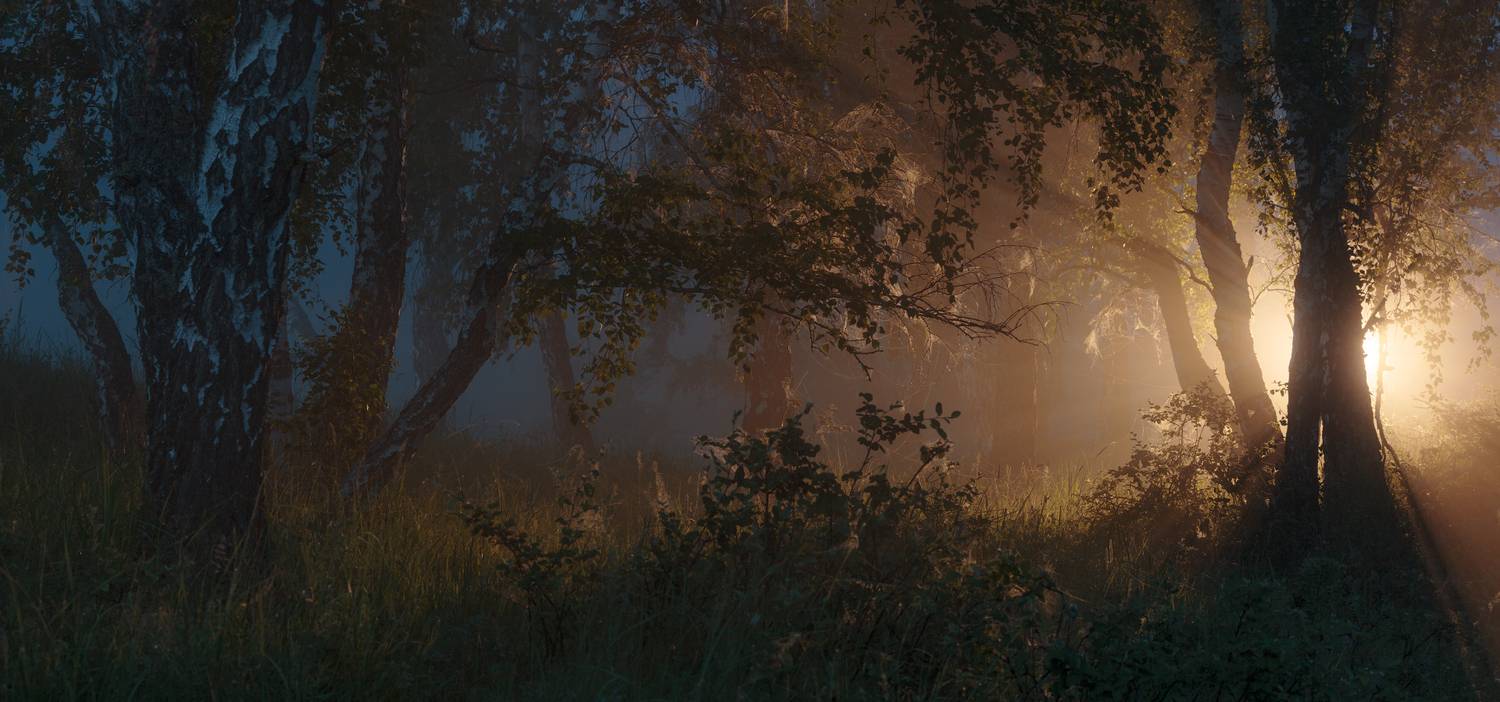 Сквозь мглу. Автор: marateaman , marateaman