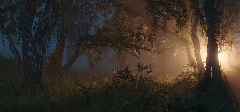 Сквозь мглуphoto preview