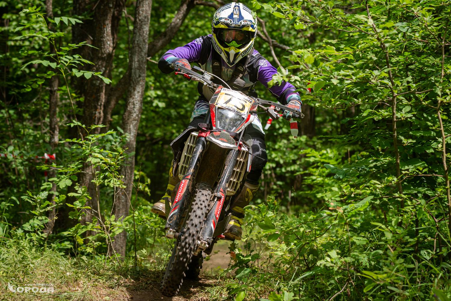 , Макс Борода