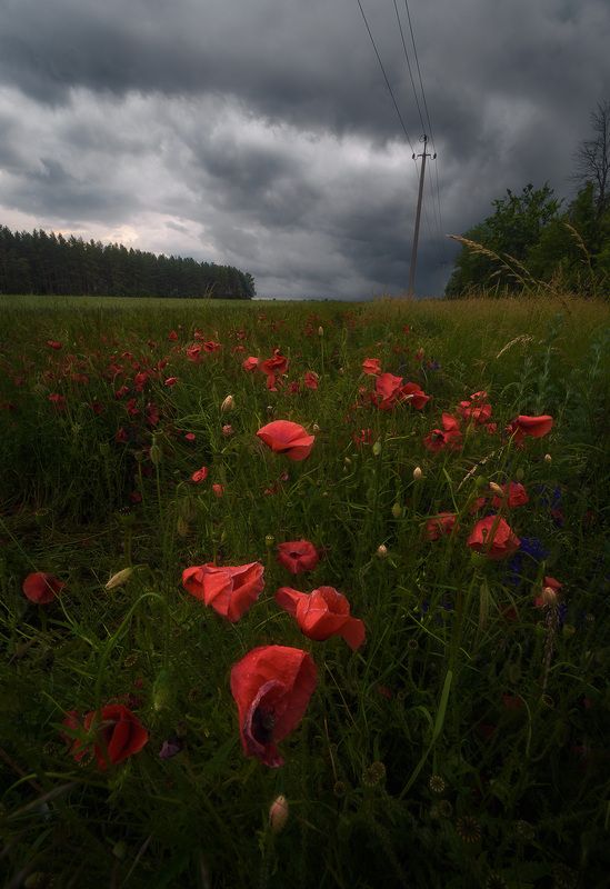 Холодный июньphoto preview