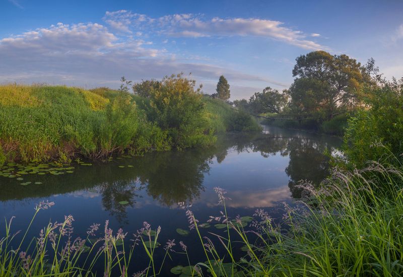 лето , река, мостик photo preview