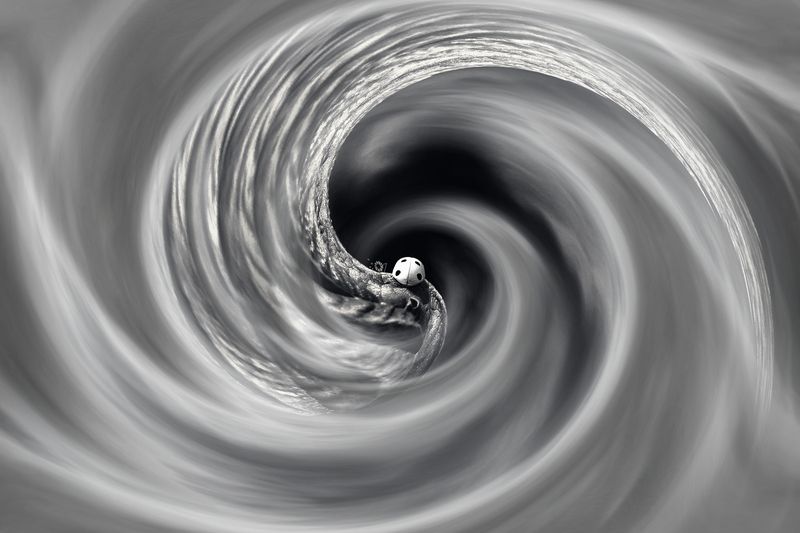 creative, креатив, концепция, грусть, печаль, тоска, уныние, пустота, поток, conception, sadness, sorrow, despondency, emptiness, streams Грусть, печаль...photo preview