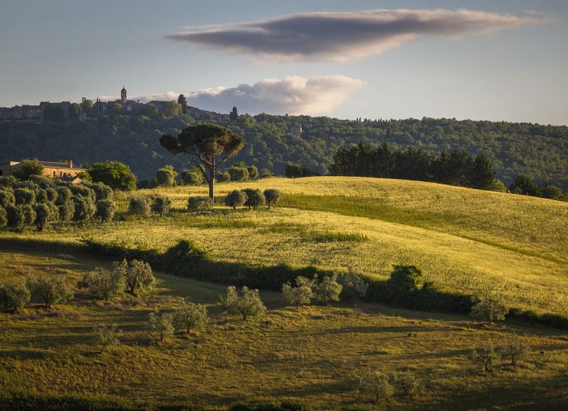 Вечерний светphoto preview