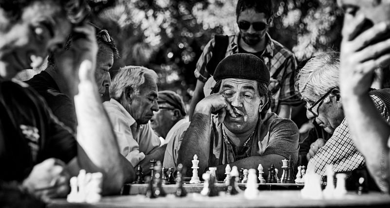 Sapiensphoto preview