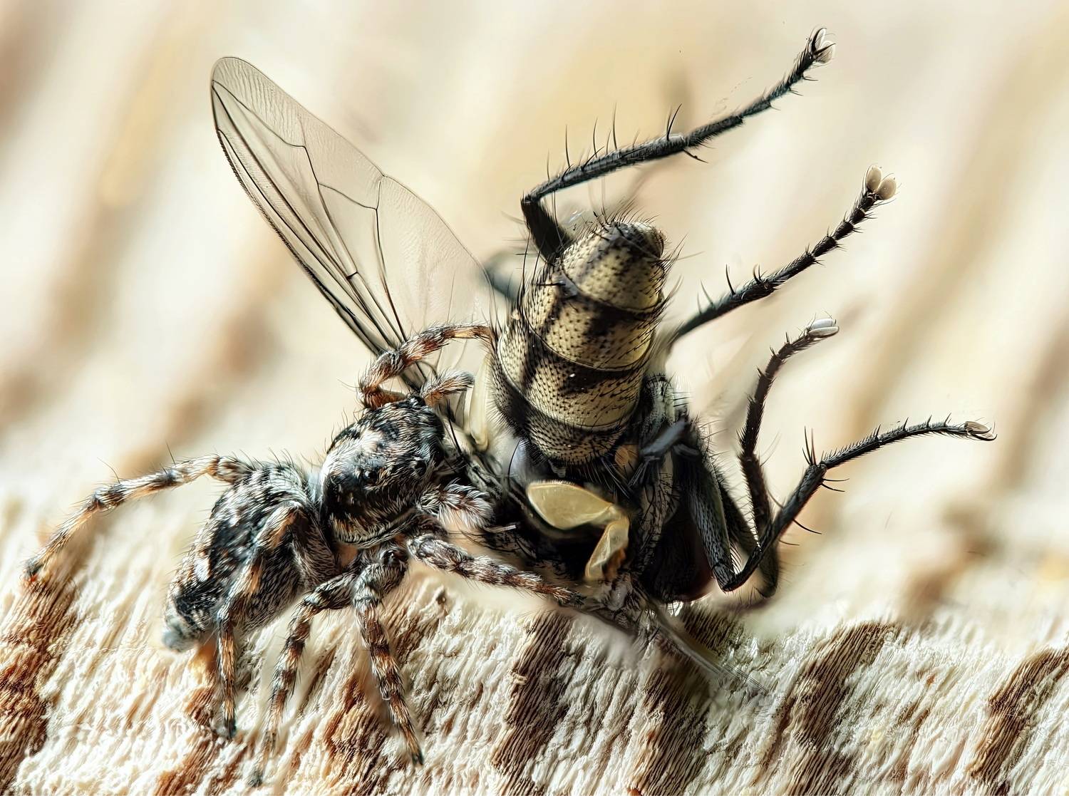 Автор: Кузнецов Дмитрий , Кузнецов Дмитрий