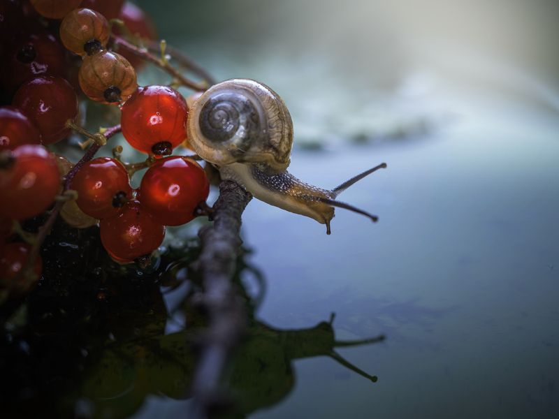 Гляжусь в тебя, как в зеркало. фото превью